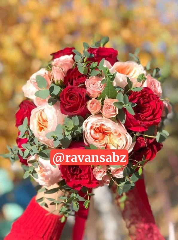 روانشناسی انرژی مثبت: 🌸💕دوشنبه تون عالی🌿✨از خدا برایتان 🌸💕یک روز زیبا و🌿✨سرشاراز سلامتی و لبخند 🌸💕همراه با دنیا دنیا آرامش 🌿✨سبد سبد خیر و برک