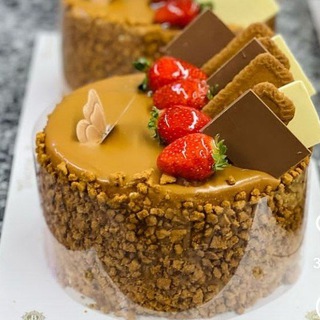 TORTLAR olami Uzun Sariosiyo🍰