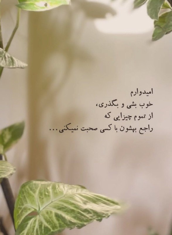 👑 شهر عکس 👑: 💜 @shahreeaks 💜
