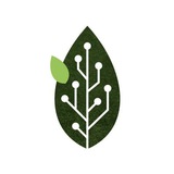 ИТМО GREEN