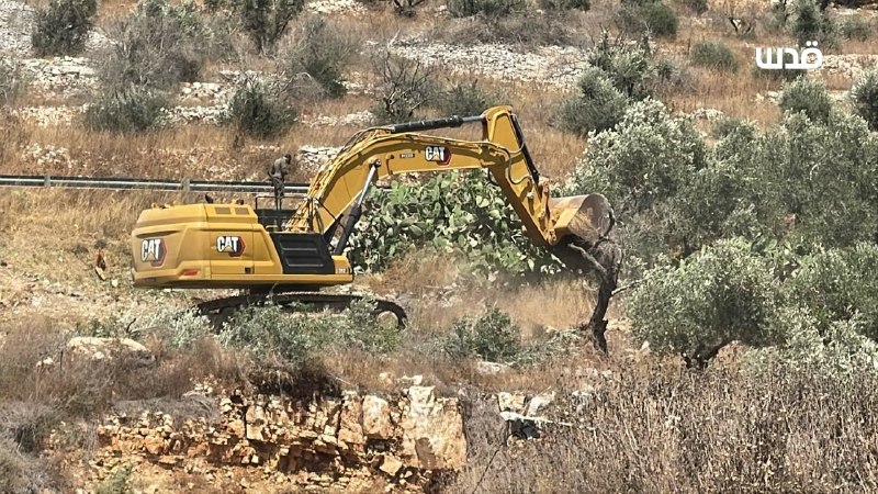 רשת חדשות ירושלים