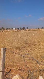 כוחות הכיבוש מסתערים על אזור חווארה, מזרחית ליטא, ועוצרים פלסטינים, כדי להגן על מתנחלים ששחררו את משק החי ש…