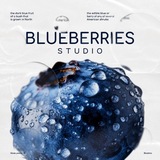 [ДНИ ВП]Blueberries studio🫐
