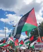 🎥 הפגנות מאסיביות נגד ישראל בברלין