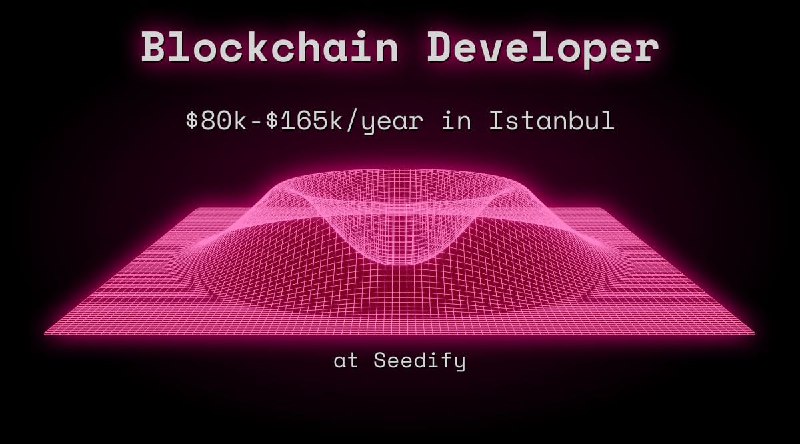 Web3 Blockchain Developer $80k - $165k in Istanbul at Seedify