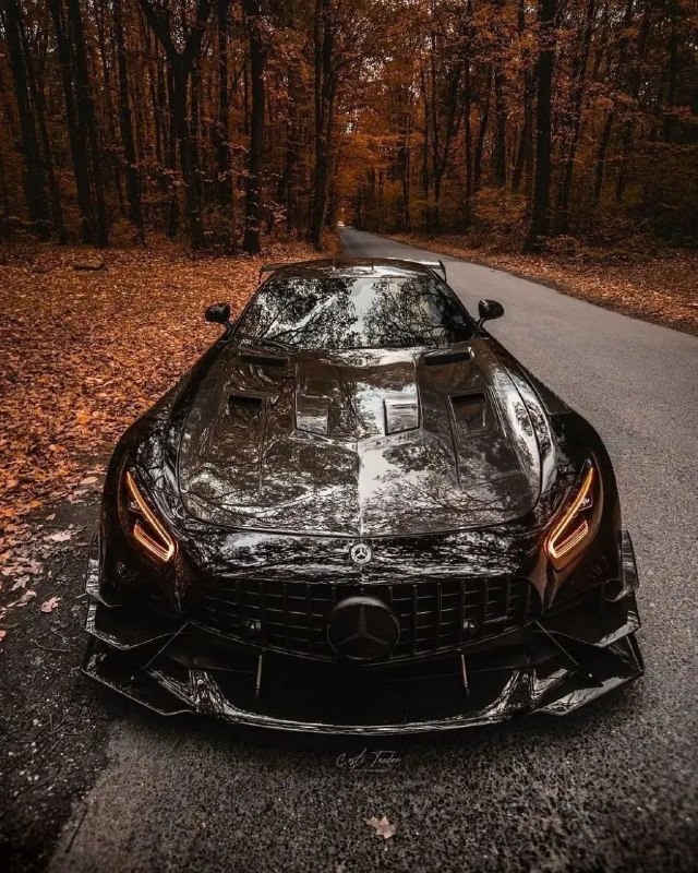 Mercedes-AMG GTR PRO 2