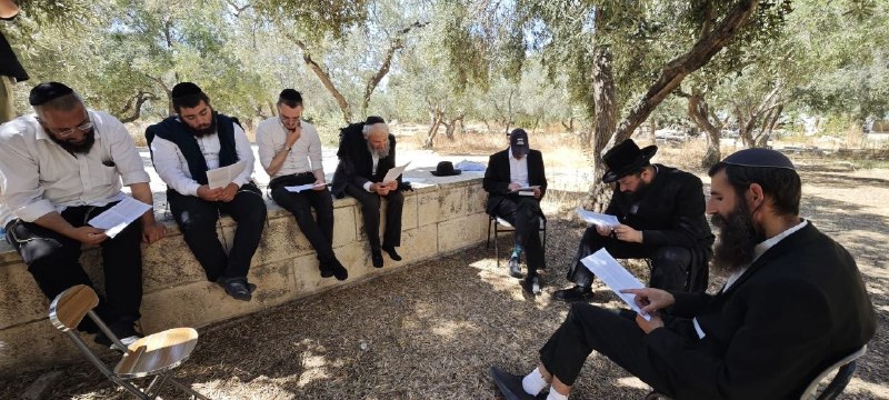 مرکز اطلاعرسانی فلسطین: 🔴تعرض صهیونیستها به مسجد الاقصی دهها شهرکنشین صهیونیست با یورش به مسجد مبارک الاقصی، آیینهای تلمودی در داخل محوطهها