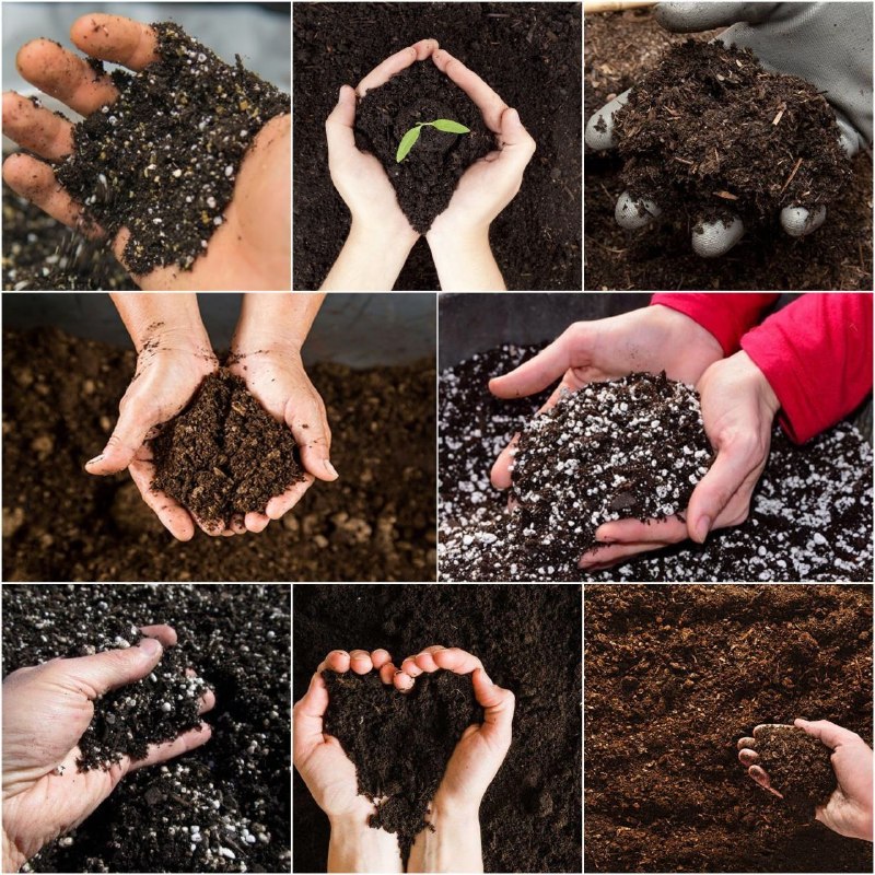 🌱 Forosh.nahal 🌱: 🌱 #انواع_خاک مناسب گلدان، فلاورباکس، باغ و باغچه موجود می باشد.🌱 خاک ترکیبی کامل و غنی.🌱 بسیار کاربردی برای مناطقی که خا