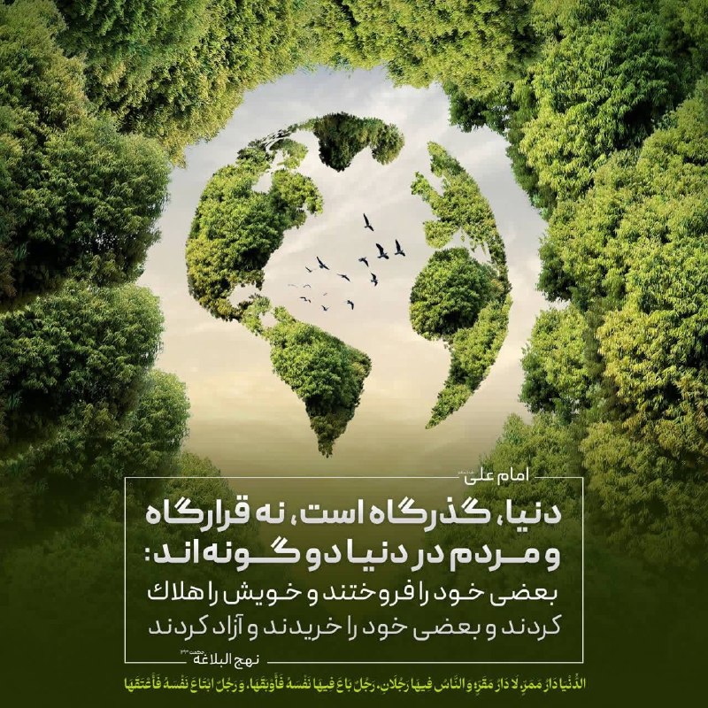 کانال خبری رجانیوز: امام علی (ع): دنیا سرای عبور است نه سرای اقامت و مردم در دنیا دو گونه اند: بعضی خود را فروختند و خویش را هلاک کردند و بع