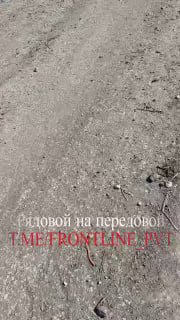 t.me