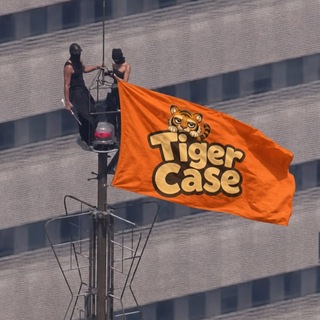 Telegram profile photo for Tiger News