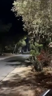 חלק מכוחות הכיבוש מסתערים על אזור המגורים של האוניברסיטה הערבית-אמריקאית בעיר ג'נין.