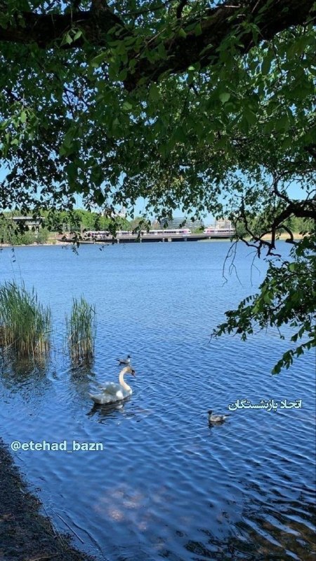 اتحاد بازنشستگان: 🍃🍃 پنج‌شنبه ۵ شهریور ۱۴۰۵۲۷ آگوست ۲۰۲۶۱۴ ربیع‌الاول ۱۴۴۸اتحاد بازنشستگان@etehad_bazn