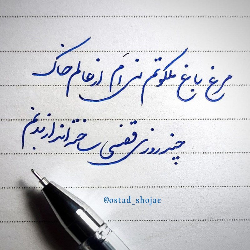 🍂منتظـ³¹³ــران‌ظـهـور🍂: #یادداشت_روز 🕊 مرغ باغ ملکوتم، نی‌ام از عالم خاک چند روزی قفسی ساخته‌اند از بدنمقفس ! قفس !قفس ! و من ... چنان به این قف