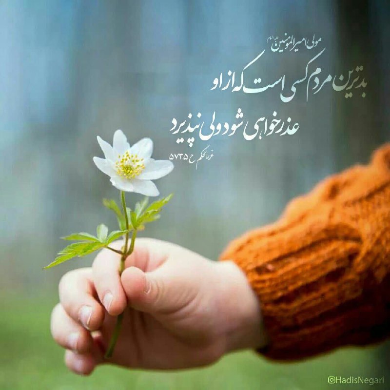 ظهور بسیار نزدیک است: ✨امیرالمومنین امام علی علیه السلام فرمودند:بدترین مردم کسی است که از او عذری خواهی شود ولی نپذیرد.📚غررالحکم ح ۵۷۳۵