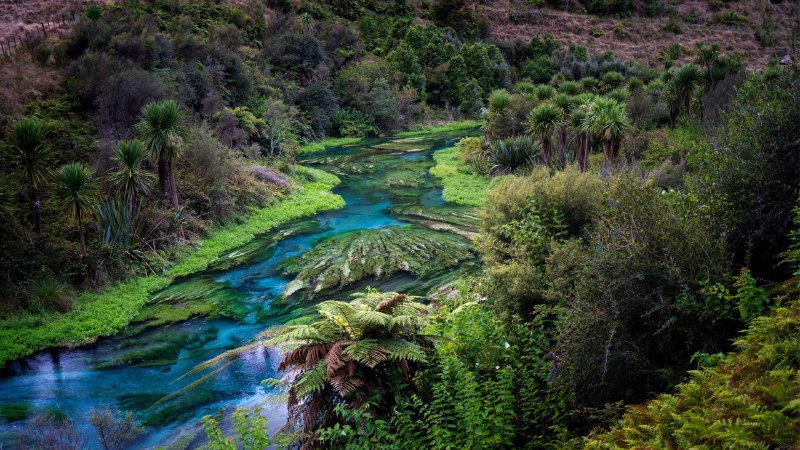 'Water' we celebrating?Blue Spring, Te Waihou Walkway, New Zealand (© Ian Beattie/Alamy)