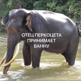харкетов киллер