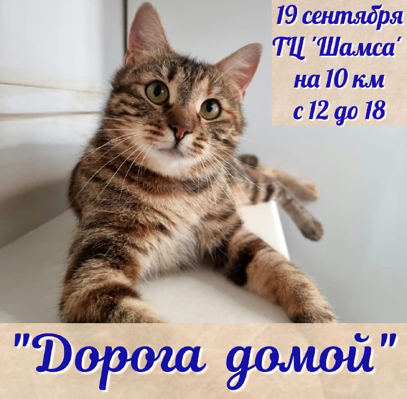 Сегодня суббота и мы приглашаем гостей на...