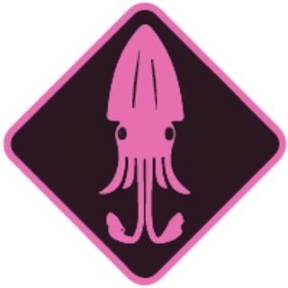 Fans Squid Token Official KYC