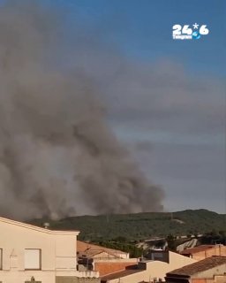 🇮🇱 גל החום החדש באירופה: גל שרפות פרץ בימים האחרונים באזור צרפת וספרד ושרף עשרות אלפי דונמים. התיעוד משרפ…