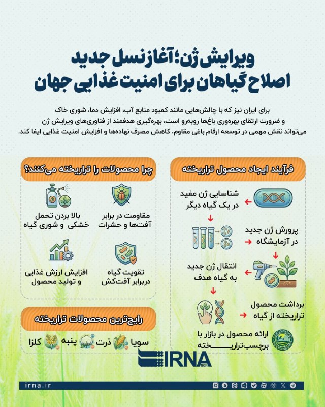 خبرگزاری ایرنا: 📋#اینفو_ایرنا | ویرایش ژن؛ آغاز نسل جدید اصلاح گیاهان برای امنیت غذایی جهان🔹در کمتر از یک دهه، فناوری ویرایش ژن CRISPR–C