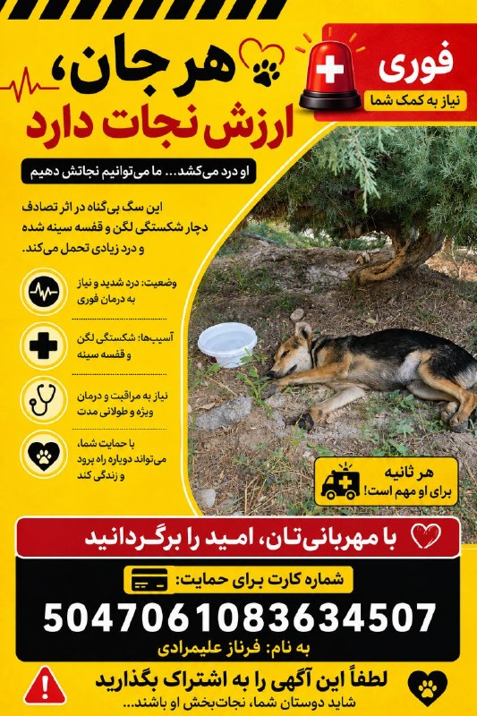 یافتههای نوین روانشناختی: رسانه پست