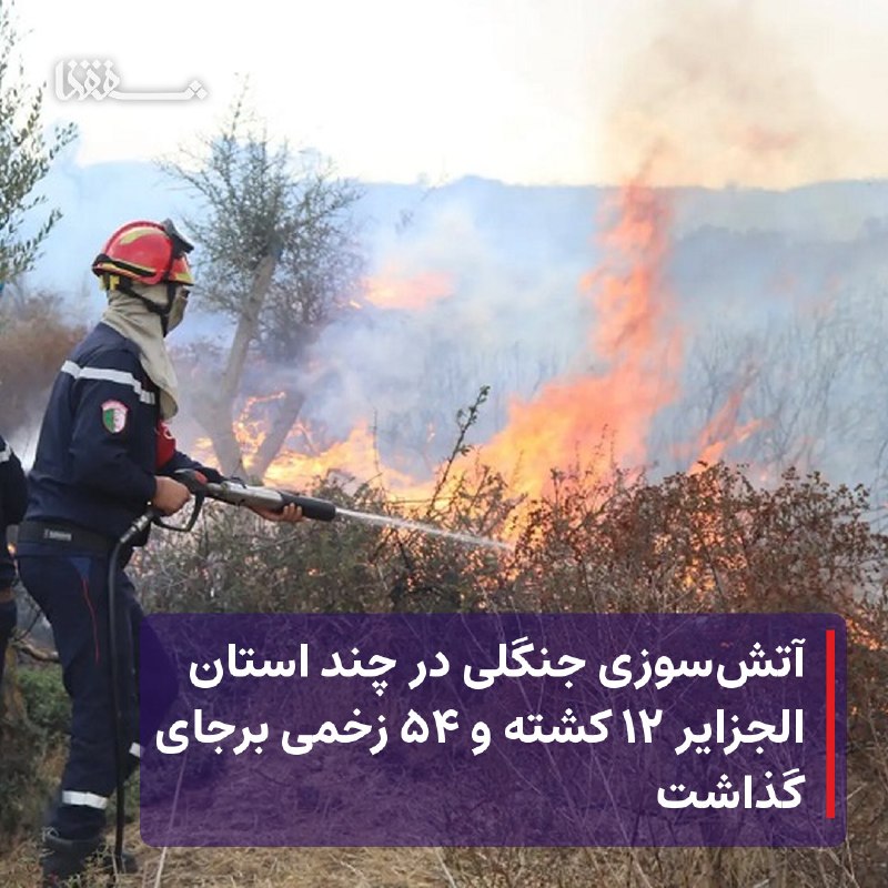 خبرگزاری بین المللی شفقنا: ⬅️ در میانه موج گرمای شدید در شمال آفریقا، وزیر کشور الجزایر از کشته و زخمی شدن بیش از 65 نفر در نتیجه آتش‌سوزی‌های جنگل