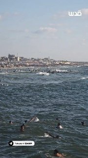 על רקע החום הקיצוני, המצור והעקירה, פלסטינים רבים מבלים את שעות הערב בחוף עזה, כמוצא יחיד למנוחה.