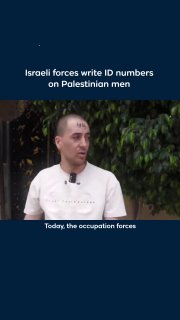 כוחות ישראליים רשמו מספרי זיהוי בטוש על מצחם וזרועותיהם של גברים פלסטינים במהלך פשיטה בקבטיה בגדה המערבית ה…