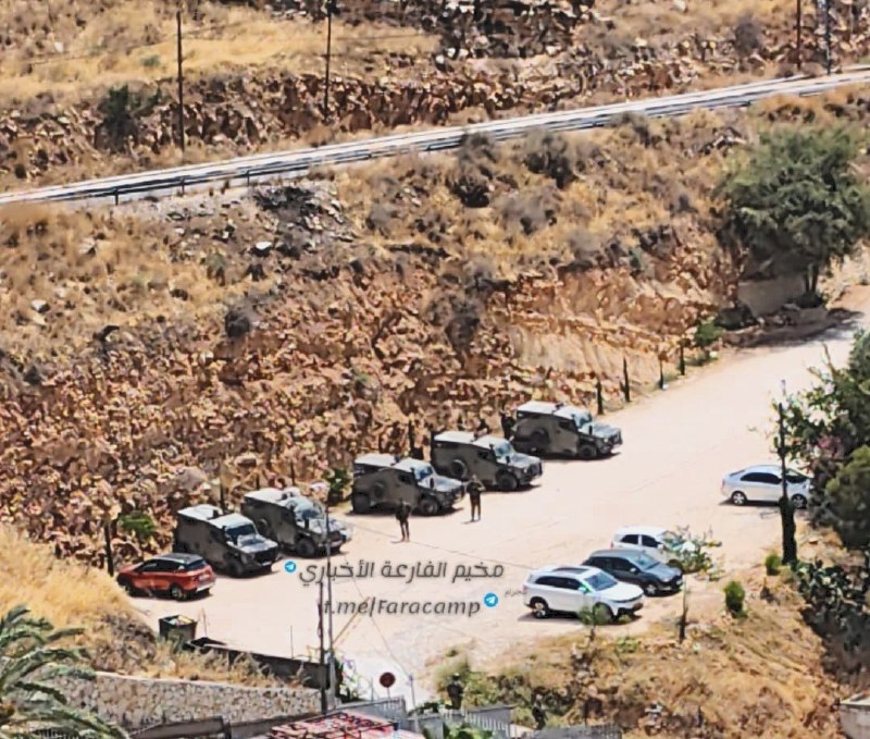 צה"ל פשט על עין אבו אליאס מזרחית לשכם