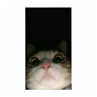 ꧁ ⚡Afrika Mafia ⚡꧂ Telegram Group Link