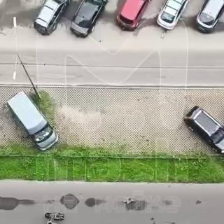 Шестнадцатый этаж — кошки торчат!Меховые Трус, Балбес и Бывалый напугали соседей по ЖК в Мурино — усатые на балконе рисковали потратить одну из девяти жизней сильно раньше времени. операция "бЫстро домой"😎 Телегу замедляют. Спокойствие, всё прекрасно грузи