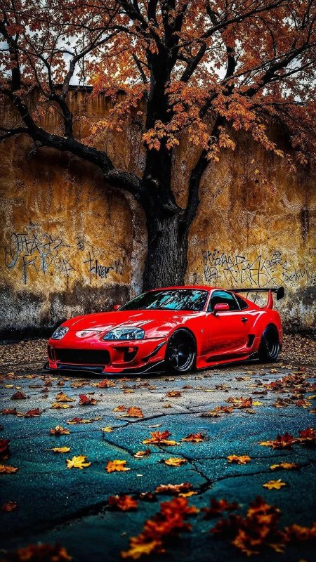 @sochiautoparts 5