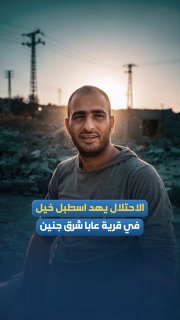 The occupation army destroys horse stables in Kfar Gaba, east of the city of Jenin.