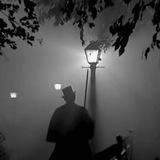 insomnis nidum