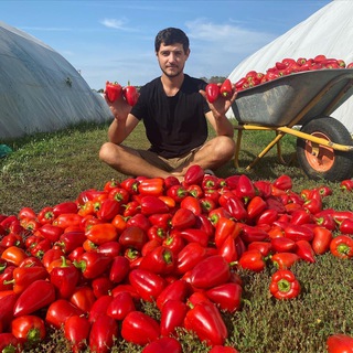 Telegram profile photo for Яков Огородник