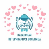 Казанская ветеринарная больница