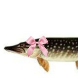ересь ереси.🦈