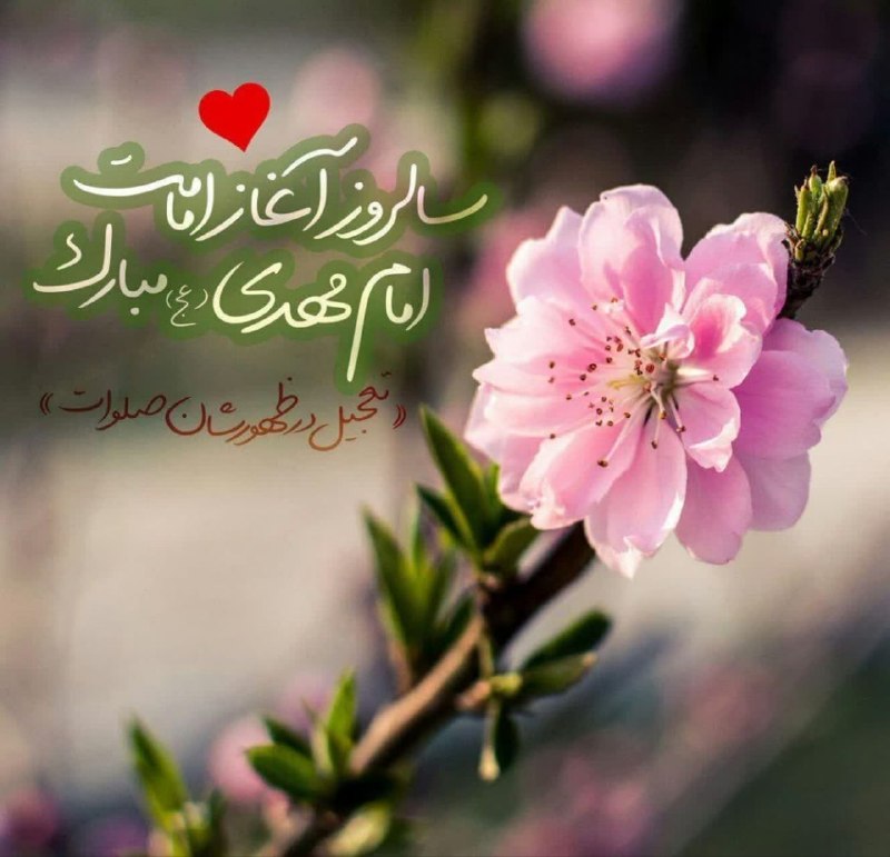 معارف اهل بیت (ع): 💌بسمـ رب الحسین.....🕊🌸﷽ نَحݩ عُشٰاقْ اَلْحٌسٖــیِݩـ ﷽تسبیح زمین و آسمان یا مهدیذکر همهی فرشتگان یا مهدیحالا که رسیده رو