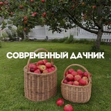 Иллюстрация к посту канала Современный дачник