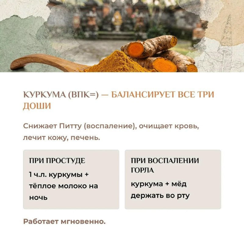 Еда — не просто калории: ваш секретный союзник в борьбе за здоровье 5