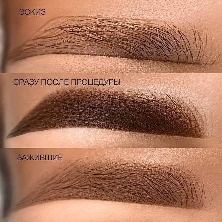 🔥МОДЕЛИ на перманентный макияж бровей.