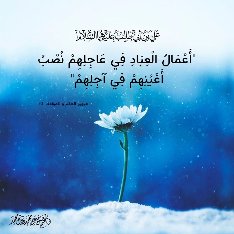 قناه السيده لبابه زوجه العباس (عليهما السلام ): ﷽ #الحكمة_الصباحيةروي عن أمير المؤمنين علي عليه السلام: "أَعْمَالُ الْعِبَادِ فِي عَاجِلِهِمْ نُصْبُ أَعْيُنِهِمْ فِي آج
