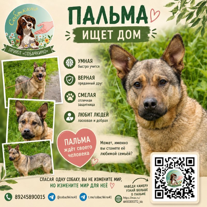 @help_animal41 posted a photo