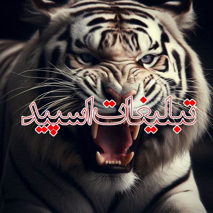 کانال لینکدونی تلگرام | لینکدونی گروه | لینکدونی اصلی | بزرگترین لینکدونی | لینکدونی رایگان: ❶﹚ نام : لایو ناب❷﹚ نو؏ تبلیغات : #telegram❸﹚ توضیحات :┈┈∘┈˃‌🕋˂‌┈∘┈┈به جمع گرم ما خوش اومدی. 🤍بحث سیاسی نداریم محدودیت س
