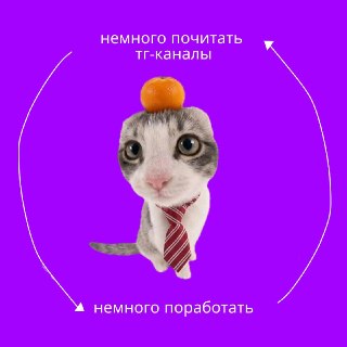 Друзья, если вы всё ещё учите маркетинг по пыльным учебникам или случайным видосикам — вы себя не любите 😄Тг в этом плане — просто находка. Тут нет этой бесконечной алгоритмической ленты, где важный пост теряется между мемами про котиков. Всё чётко: открыл