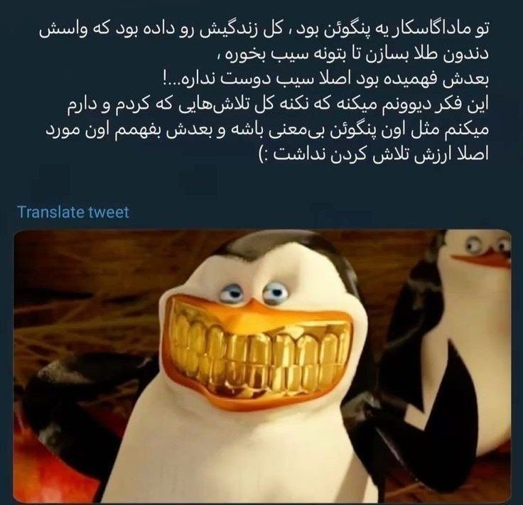 عسلیخان قاجار core🧘🏻♀🫦: رسانه پست