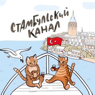 Telegram profile photo for Стамбульский канал