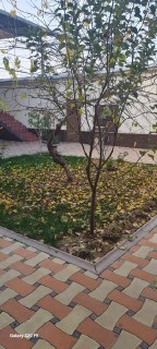 Участок, 3.6 сотки 7 комнат, 1 Горбольница ориентир