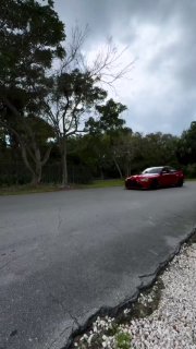 https://t.me/bmw_mpower_club